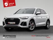 Audi Q5, nza 55 TFSI e S-Line, Jahr 2021 - Herborn (Hessen)