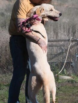 Doya ist ein Goldschatz - Brunstorf