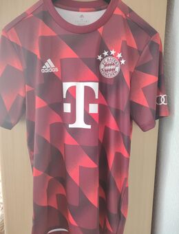 Fussball Trikot - Dessau-Roßlau