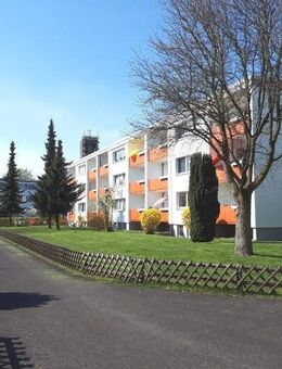 Singlewohnung mit gutem Grundriss zur Miete in Garbsen - Wentzel Dr. - Garbsen