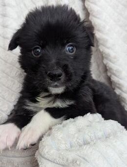 Pixel - Weilmünster