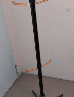 Felgenbaum - Rimpar