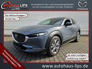 Mazda CX-30 SkyActiv-G 122 Selection | LED | HUD | - Bad Kreuznach