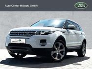 Land Rover Range Rover Evoque SD4 Prestige 20Zoll - Bruchköbel