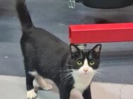 Minnie Sonnenscheinchen sucht Familie - Unterföhring