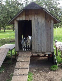Großzügige Erdgeschoß-Wohnung KFW-Förderung zu 1,03% Zinsen möglich - Kirchzarten