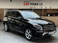 Mercedes-Benz ML 350 CDI BlueTec AHK Navi Xen-LED GSD - Cadolzburg