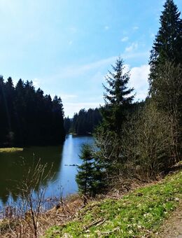 Gemütliche Ferienwohnung im Harz Braunlage OT St. Andreasberg - Braunlage Sankt Andreasberg