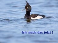 Wohnen im Herzen den Löwenstadt Bleckede - Bleckede