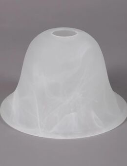 5 x Stück Lampengläser in Alabaster weiß - Verden (Aller)