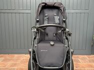 Uppababy Vista 2 Kinderwagen - Brühl (Baden-Württemberg)