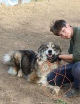 Flauschbär Joker sucht ein Zuhause - München