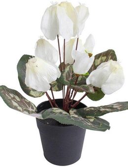 Kunstblume Alpenveilchen, Botanic-Haus, Höhe 24 cm