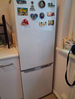 Kühlschrank mit Gefrierschrank - Leipzig