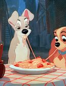 Strolch sucht seine Susi - Vorname egal in 84384