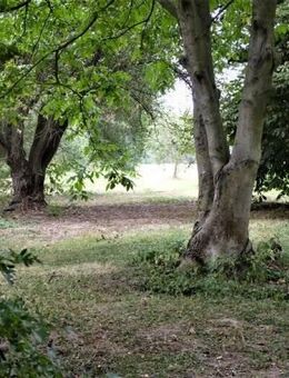 Paradies für Naturliebhaber! Freistehendes Zweifamilienhaus auf ca.15000m² Grund, zzgl. Nebengebäuden in direkter traumhafter Feldrandlage - Neuss