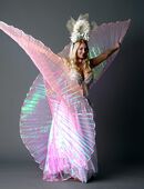 Tänzerin/ Burlesque Show/ Showtanz/ orientalische Show in 63456