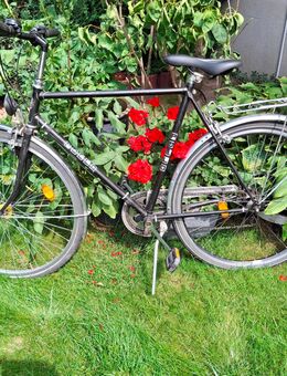 Herren Fahrrad 28 ,gebraucht - Brieselang