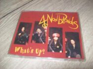4 Non Blondes - Erwitte