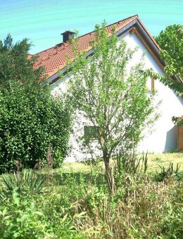Gepflegtes Ein-/Zweifamilienhaus im lieblichen Taubertal - Lauda-Königshofen