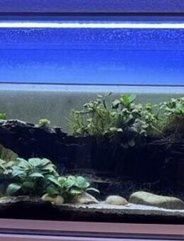 Aquarium Lighting LD2-90cm twin full Spektrum ohne Netzteil - Verden (Aller)