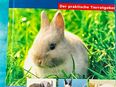 Buch Zwergkaninchen Ratgeber in 84405