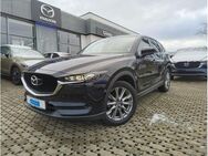 Mazda CX-5 165PS ADVANTAGE 360°Kamera NAV abn. AHK *Winterräder* -GARANTIE- - Meschede (Kreis- und Hochschulstadt)