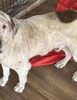 GUSTAV - in Ruhe ankommen und lernen - Overath