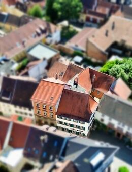 Denkmalschutz-Afa im Herzen von Landau - Entwicklungspotenzial mit 1.000m² Gesamtfläche - Landau (Pfalz)