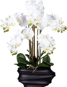 Kunstorchidee Phalaenopsis Orchidee Phalaenopsis, Creativ green, Höhe 75 cm, in Design-Kunststoffvase