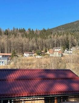 MFH mit zwei getrennten Wohnungen und separaten Bauplatz in Bodenmais zu verkaufen - Bodenmais