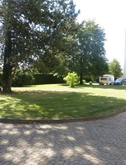 Großzügiges Appartement mit Sonnenbalkon! - Schweinfurt