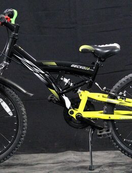Cooles Kinderbike, GECKO 2.0, B25/080 - Aarau