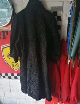 Echter Persianer Pelz lange schwarze - Düsseldorf