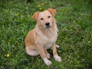 Sunny - Sonnenschein sucht Dich! - Duisburg
