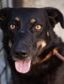 YARINA💖Lieb. Zart. Klug. Lernwillig. - Hamburg