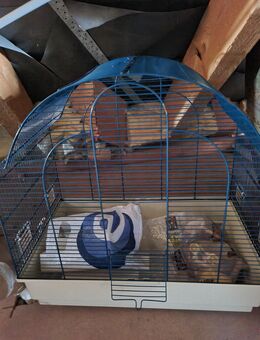 Vogelkäfig zu verschenken - Nehren (Baden-Württemberg)