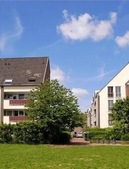 Hier steigt Ihnen keiner aufs Dach! - Duisburg