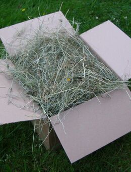 Verkaufe Bio Heu Wiesenheu vom 1. Schnitt aus 2025 - Chemnitz