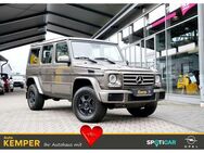 Mercedes-Benz G 350 D 7G-TRONIC *AHK*Standheizung*Navi* - Meppen