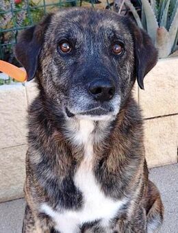 Gaby ist so lieb und sehr dankbar..... - Laatzen