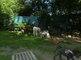 Hundekindergarten Frankfurt-Eckenheim in 60435