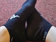 Sneaker socken 🥰 - Boxberg (Oberlausitz)