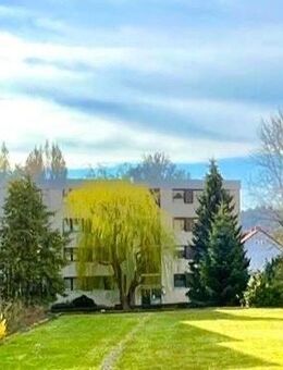 METEOR IMMOBILIEN : Terrassenwohnung in der Nordstadt - Hameln