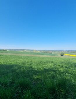 Sunday Enjoy - Alsfeld