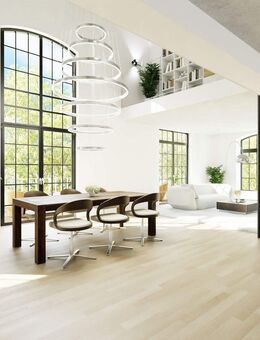 Industrieloft ***kersanierung Neu mit 85 % AFA *** 2 Balkone ***4 Zimmer - Borna