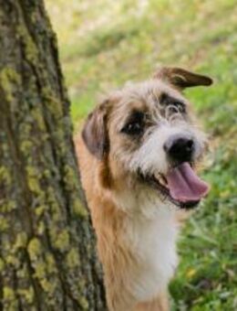 SALÜ - gemeinsame Stunden sind toll - Overath