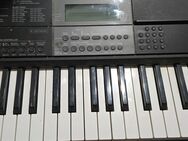 Keyboard CT-X800 - Dortmund Kemminghausen