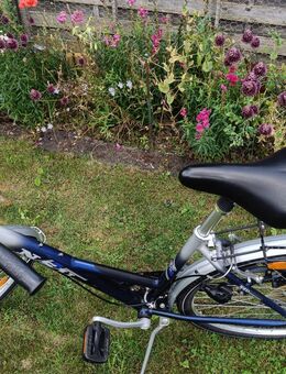 Damenfahrrad - Egenhofen
