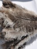 Straußenfedern Staubwedel mit Naturfedern 1120 und Holzgriff XXL in 63739